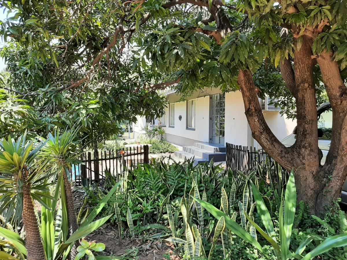 Elephant Walk Guesthouse And Back Packers Phalaborwa Exteriör bild